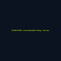 Evana Padel Balls Training - Tub 3 buc - echipament de padel Evana Padel