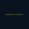 Evana Court Control Shoes - echipament de padel Evana Padel